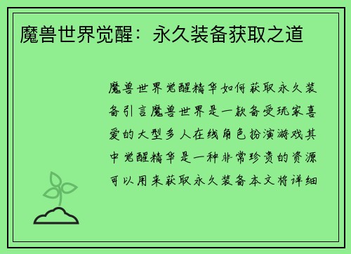 魔兽世界觉醒：永久装备获取之道